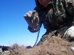 post-4269-0-34980900-1333541209_thumb.jp