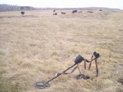 post-4269-0-40167200-1334673596_thumb.jp