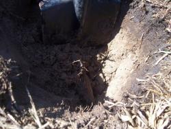 post-4269-0-40369600-1333540766_thumb.jp