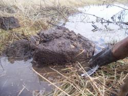 post-4269-0-40461200-1333636944_thumb.jp