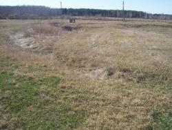 post-4269-0-48668600-1335193378_thumb.jp