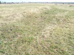 post-4269-0-54194300-1335192848_thumb.jp