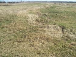 post-4269-0-54745700-1335192447_thumb.jp