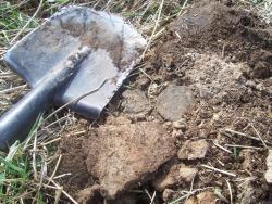 post-4269-0-60167100-1334482436_thumb.jp