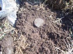 post-4269-0-73224200-1334673387_thumb.jp