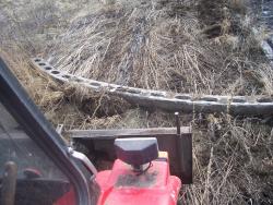 post-4269-0-88980500-1333714924_thumb.jp