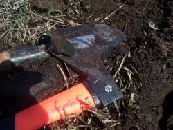 post-4269-0-89195600-1333540930_thumb.jp