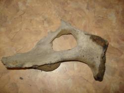 post-4446-0-95594400-1335769607_thumb.jp