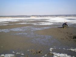 post-4632-0-26751600-1334487360_thumb.jp