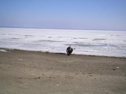 post-4632-0-52712100-1333272022_thumb.jp