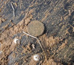 post-4655-0-46629000-1335117863_thumb.jp