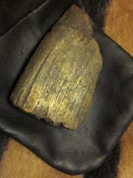 post-4655-0-86869800-1335291068_thumb.jp