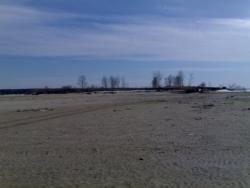 post-4799-0-07106800-1333818388_thumb.jp