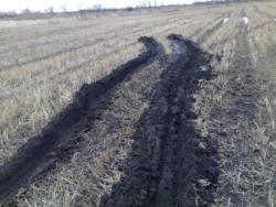 post-4799-0-23751000-1333818073_thumb.jp