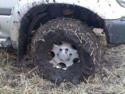 post-4799-0-52324800-1333818083_thumb.jp