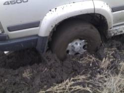 post-4799-0-65167300-1333818093_thumb.jp