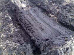 post-4799-0-86625500-1333818105_thumb.jp