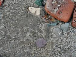 post-4957-0-07338900-1334493707_thumb.jp