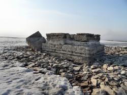 post-4957-0-12700200-1334499260_thumb.jp