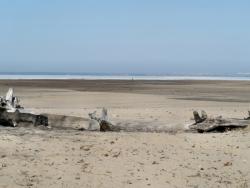 post-4957-0-66831600-1334499477_thumb.jp