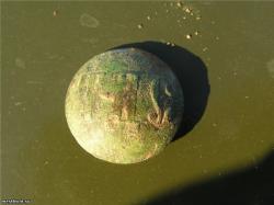 post-5029-0-14594900-1334936631_thumb.jp