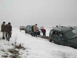 post-5580-0-73048000-1333990969_thumb.jp