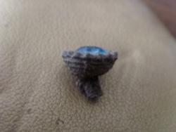 post-5682-0-17172000-1335102917_thumb.jp