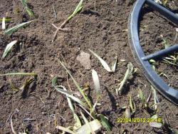 post-6107-0-56298100-1335627919_thumb.jp