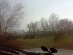 post-6685-0-80893600-1334592116_thumb.jp