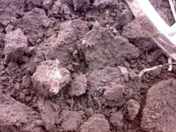 post-6685-0-84791300-1334847290_thumb.jp