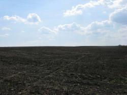 post-6726-0-31599400-1335460389_thumb.jp