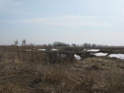 post-6726-0-32833400-1334680303_thumb.jp