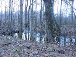 post-6726-0-55839900-1334844276_thumb.jp