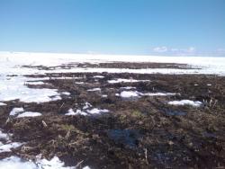 post-6726-0-89529200-1333385760_thumb.jp