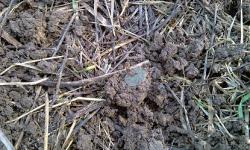 post-6900-0-48248800-1334426629_thumb.jp