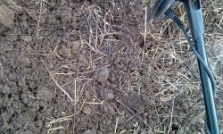 post-6900-0-50065200-1334426616_thumb.jp