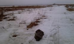 post-6900-0-68970400-1334426306_thumb.jp