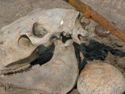 post-6911-0-23617700-1335288118_thumb.jp