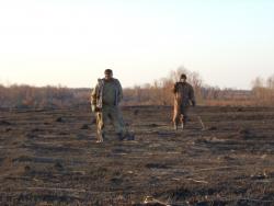 post-7121-0-35974500-1334595027_thumb.jp