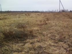 post-7485-0-11783600-1335191728_thumb.jp