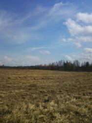 post-7485-0-17021100-1335191739_thumb.jp