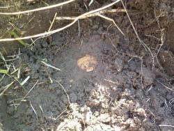 post-7485-0-24027100-1335719803_thumb.jp