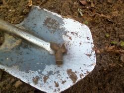 post-7485-0-26418700-1335282640_thumb.jp