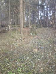 post-7485-0-26785800-1335282634_thumb.jp