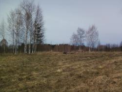 post-7485-0-31138900-1335719797_thumb.jp