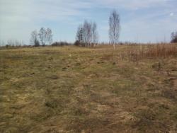 post-7485-0-38736400-1335443443_thumb.jp