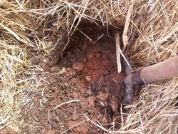 post-7485-0-49783800-1335719865_thumb.jp