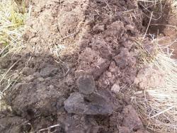 post-7485-0-63280000-1335443610_thumb.jp