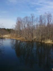 post-7485-0-64723400-1335443437_thumb.jp