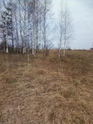 post-7485-0-82300600-1335443622_thumb.jp